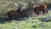 DSC02449__1024x576_.jpg