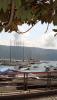 DSC02642__576x1024_.jpg