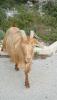 DSC02599__576x1024___2_.jpg
