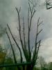 19042012_002_.jpg
