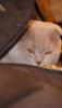 DSC04456.JPG