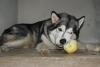 DSC01643.JPG