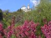 Aprile_2012_nevicata__Chiusa_25.04.12_032.JPG