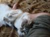 DSC06550.JPG
