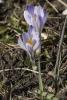 DSC08329.jpg