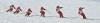 greg-sequence-1055-1060-web7.jpg