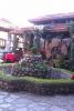 IMAG0491.jpg