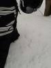 WP_000669.jpg