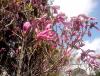 IMG_20140413_125802.jpg