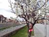 IMG_20140408_183651.jpg