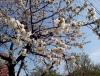 IMG_20140407_123411.jpg
