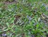 IMG_20140412_120454.jpg
