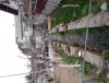IMG_20140404_114300.jpg