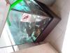 IMG_20140403_120824.jpg