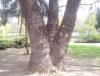 IMG_20140413_131732.jpg