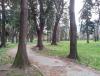 IMG_20140412_120141.jpg