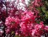 IMG_20140413_163827.jpg