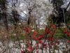 IMG_20140413_151300.jpg