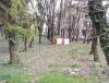IMG_20140412_122835.jpg