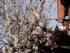 IMG_20140404_120843.jpg