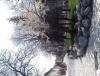 IMG_20140403_133418.jpg