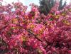IMG_20140413_131021.jpg