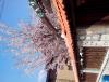 IMG_20140403_140918.jpg