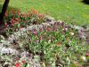 IMG_20140406_134418.jpg
