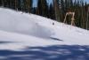 DSC01108.JPG