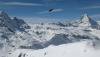 The_bird_4691.JPG
