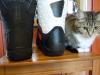 DSCN9575.JPG