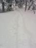 IMG-20160407-WA0004.jpeg
