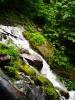 IMG_20190628_190816.jpg