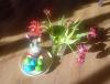 20250420_080423.jpg