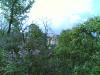 01052008_008_.jpg