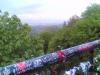 03052008_015_.jpg