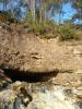 DSC00186.JPG