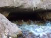 DSC00219.JPG