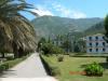 DSCN6232.JPG