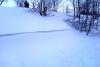 IMAG0230.jpg