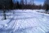 IMAG0205.jpg