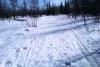 IMAG0204.jpg