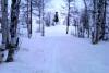 IMAG0233.jpg