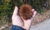 20130421_075322.jpg