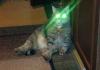 20130522_222706.jpg