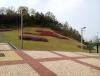 20130428_092403.jpg