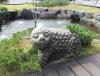20130503_052311.jpg