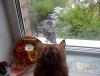 IMG_20140511_100335.jpg