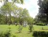 IMG_20140501_145113.jpg