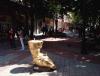 IMG_20140507_161103.jpg